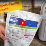 Apport d'azote : une alternative plus naturelle ?