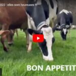 Les étapes pour une mise à l'herbe réussie