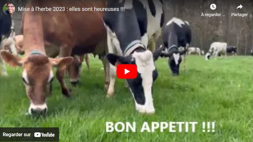 Les étapes pour une mise à l&rsquo;herbe réussie