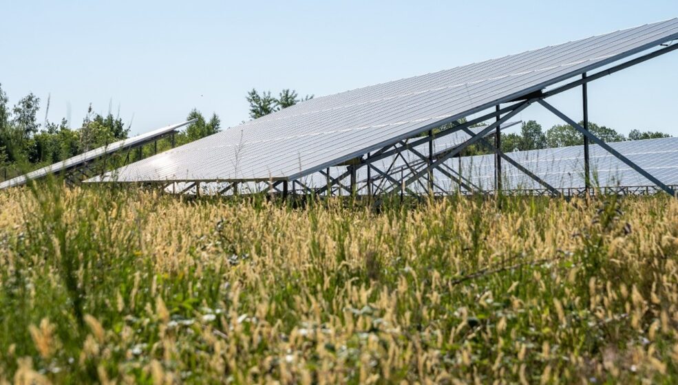 La centrale agrivoltaïque de Mont-Prés-Chambord sort de terre !