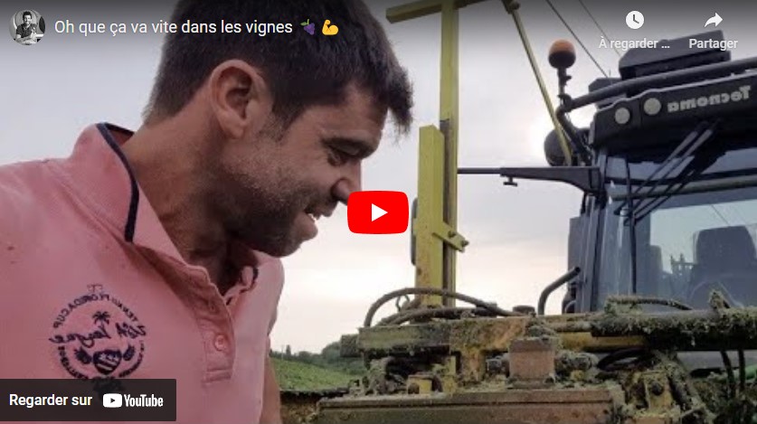 Avancement de la végétation dans les vignes