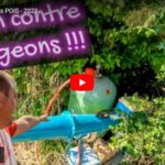 Utilisation d'un canon pour disperser les pigeons