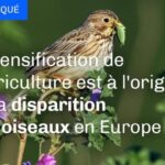 Déclin des oiseaux ou déclin de l'éthique scientifique ?