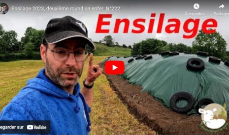Ensilage et comparatif entre une faucheuse frontale et une conditionneuse