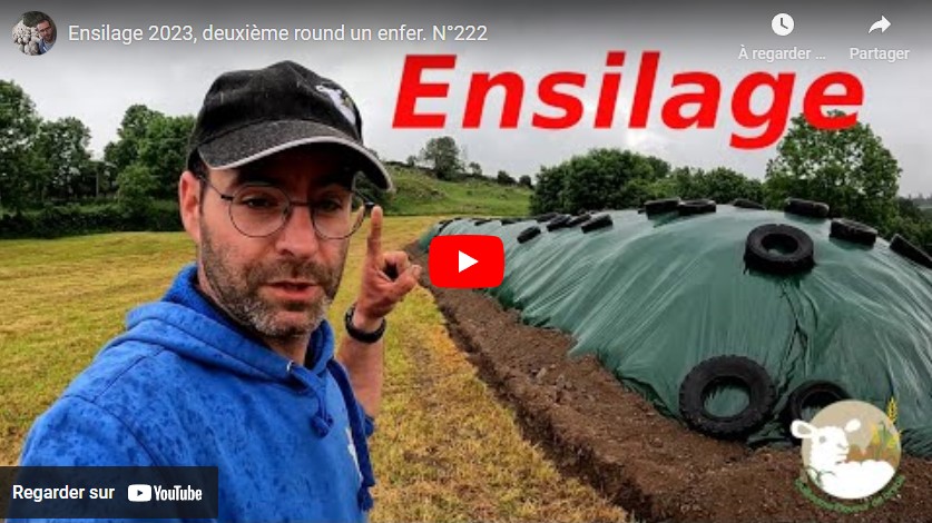 Ensilage et comparatif entre une faucheuse frontale et une conditionneuse