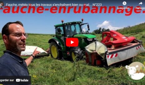 Gestion agricole : Fauche, pâturage et défis en bergerie