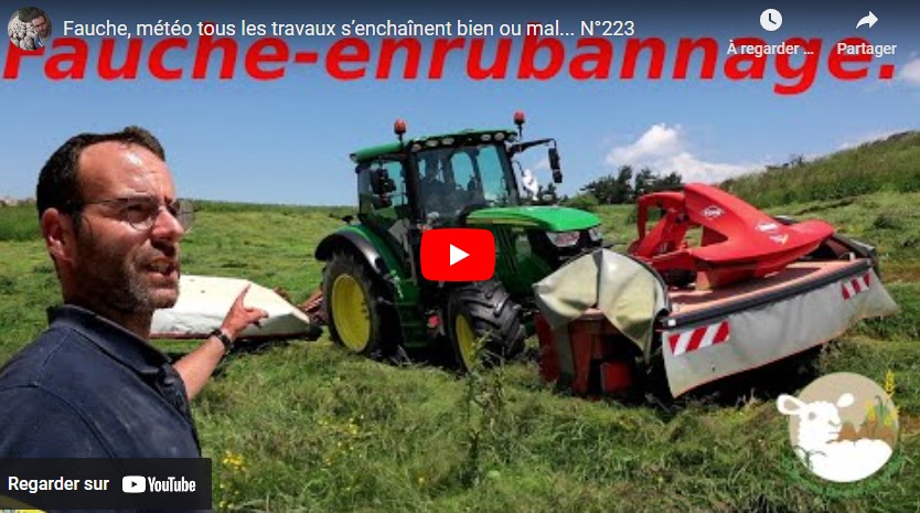 Gestion agricole : Fauche, pâturage et défis en bergerie