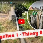 Irrigation des cultures