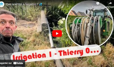 Irrigation des cultures