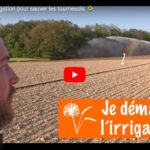 Sécheresse et irrigation pour sauver les tournesols