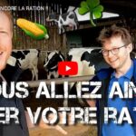 Optimiser et améliorer le rationnement des vaches laitières et taries
