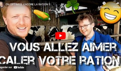 Optimiser et améliorer le rationnement des vaches laitières et taries