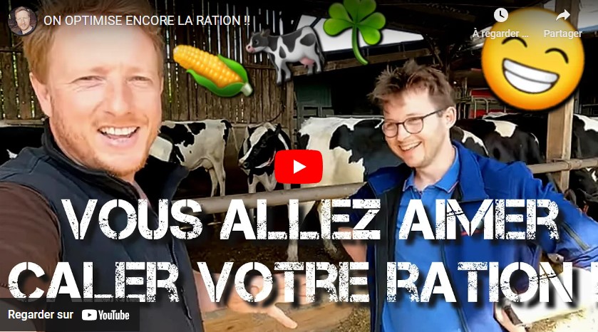 Optimiser et améliorer le rationnement des vaches laitières et taries