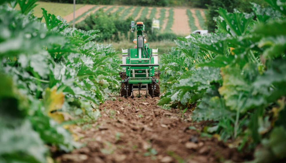 Les robots se multiplient en désherbage légumier
