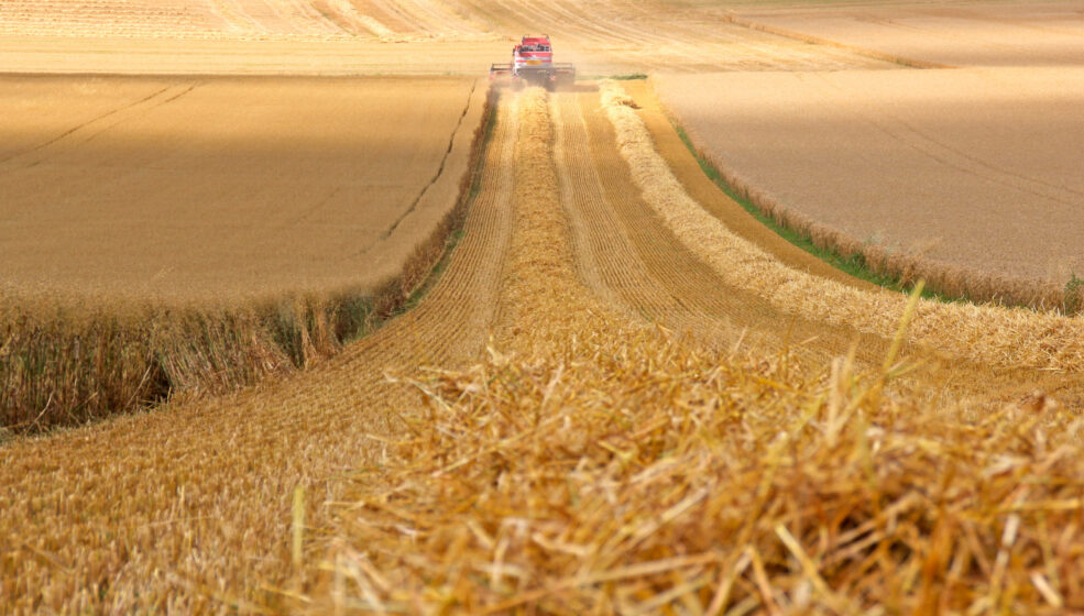 Une moisson d’idées pour se différencier à la récolte