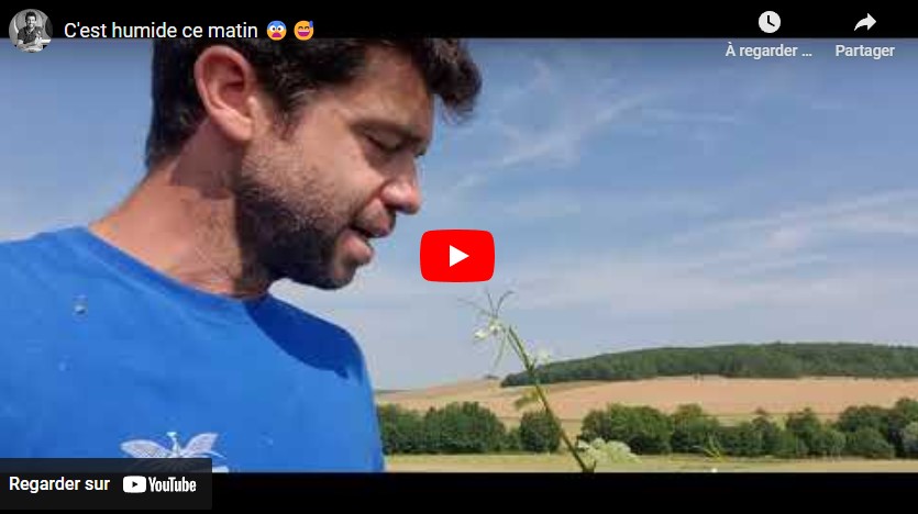 Relevage des vignes