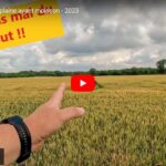 Dernier tour de plaine avant moisson