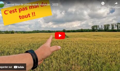 Dernier tour de plaine avant moisson