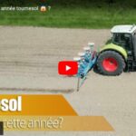 Dégâts dans les tournesols et changement des loquets de relevage