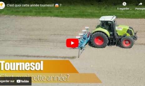Dégâts dans les tournesols et changement des loquets de relevage