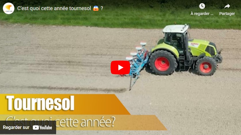 Dégâts dans les tournesols et changement des loquets de relevage