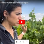 Essai du traitement Presto N pour aider les vignes au bon fonctionnement