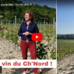 Des vignes dans le Pas-de-Calais
