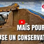 Conservation du maïs avec le conservateur Lallemand