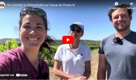 Contrôle de la chlorophylle sur l’essai Presto N