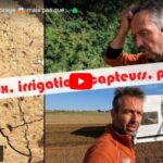 Dégâts dans les cultures