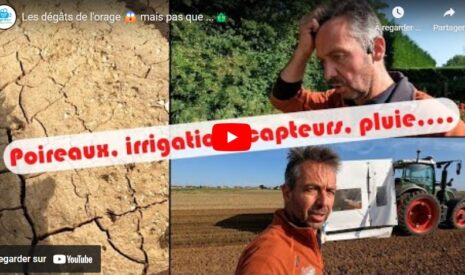 Dégâts dans les cultures