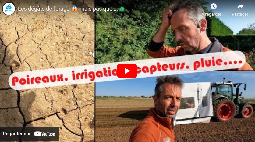 Dégâts dans les cultures