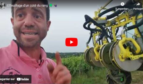 Effeuillage d&rsquo;un côté du rang