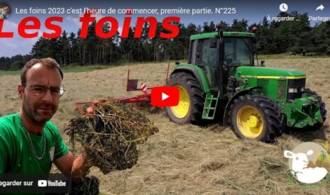 Fauchage, fanage du fourrage, mise en lutte des brebis… une semaine à la ferme.