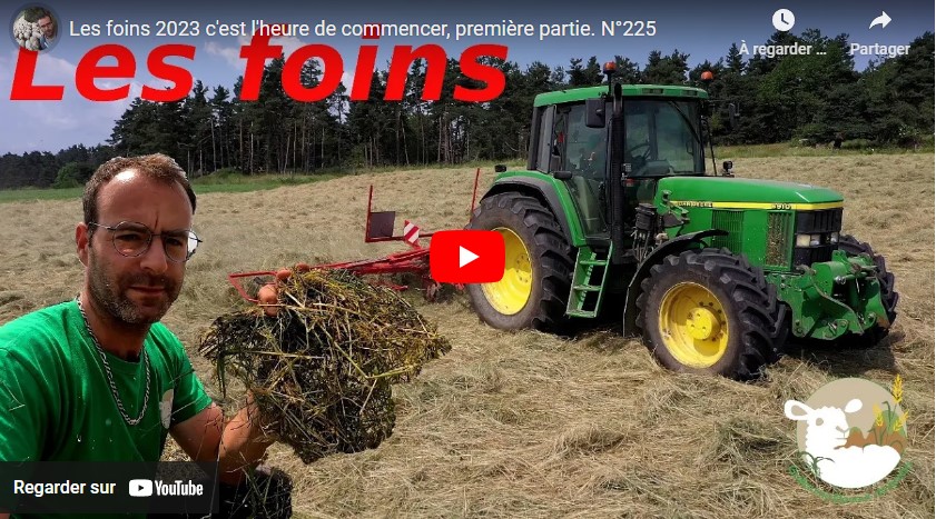 Fauchage, fanage du fourrage, mise en lutte des brebis… une semaine à la ferme.