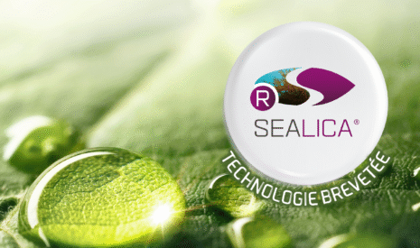 SEALICA® : UNE NOUVELLE AVANCÉE SUR LES ALGUES BREVETÉE PAR OLMIX