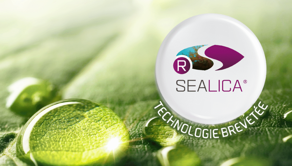 SEALICA® : UNE NOUVELLE AVANCÉE SUR LES ALGUES BREVETÉE PAR OLMIX