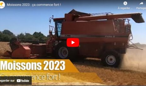 France : Moissons 2023, ça commence fort !