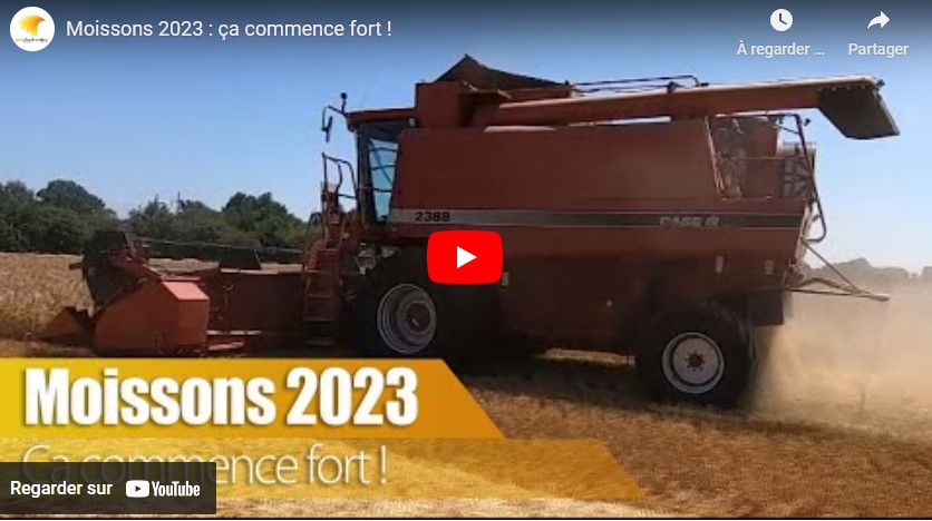 France : Moissons 2023, ça commence fort !