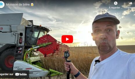 Moisson, fauche, fongicide…