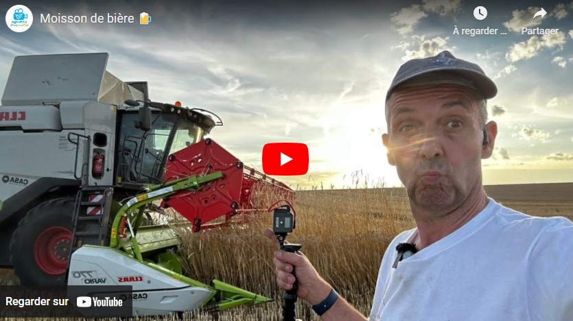 Moisson, fauche, fongicide…