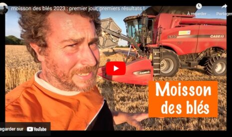 Moisson des blés