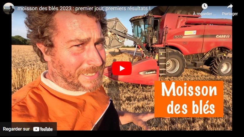 Moisson des blés