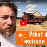 Début de la moisson 2023 : orge et colza