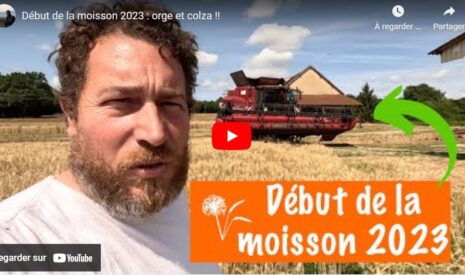 Début de la moisson 2023 : orge et colza