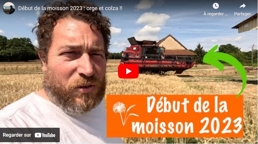 Début de la moisson 2023 : orge et colza