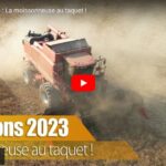 Moisson dans les pois de printemps puis dans les colzas