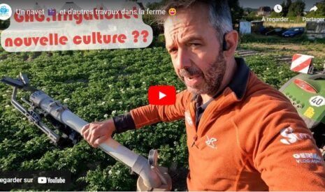 Plantation des navets et mise en place du goutte à goutte.