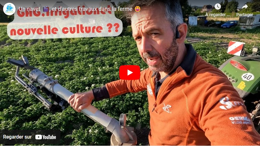 Plantation des navets et mise en place du goutte à goutte.