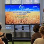 L’offre pléthorique de céréales fourragères tend le marché mondial de blé meunier